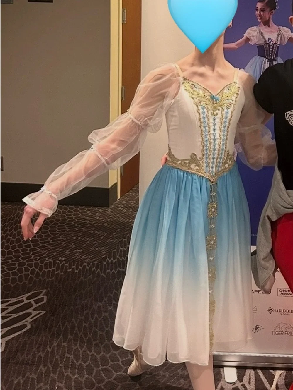 Tutu-Romantic Style used for Swan Lake variation